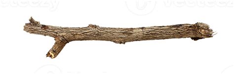 Twig, Branch, Twine, Limb, Bough PNG