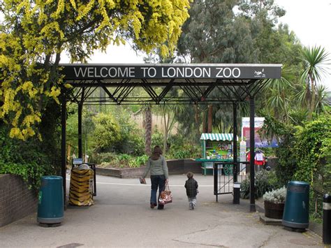 LONDON ZOO - HEART OF ENGLAND