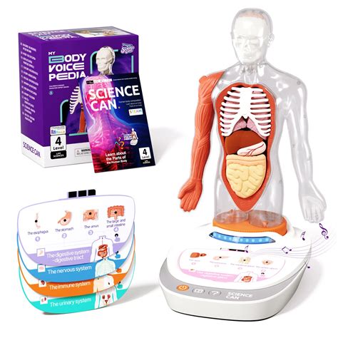 Science Can Human Body Model for Kids, Interactive Human Anatomy Talking Model - 11 Inch ...