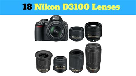 Ultimate guide to nikon d3100 lenses for beginners, contain prime ...