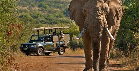 Weekend bush getaways near Johannesburg - Safari Index Africa