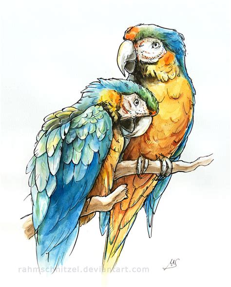 Macaws by Rahmschnitzel on deviantART