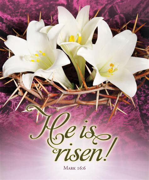 Premium Easter Bulletin: He Is Risen