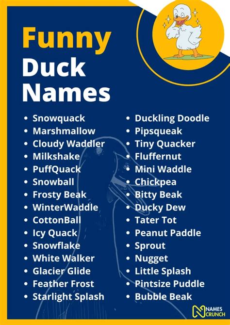 Funny Duck Names Ideas (Quack-tastic Humor) - Names Crunch