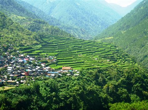 Bay-yo Rice Terraces (Bontoc, Mountain Province) – B.L.A.S.T. – Live Life to the Fullest ……… Don ...