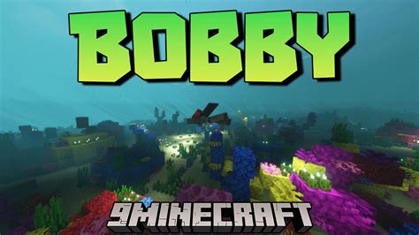 Bobby Mod (1.19, 1.18.2) - Rendering the Environment better - Mc-Mod.Net