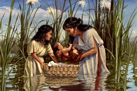 EcoPreacher: Sermon: Baby Moses in the Basket