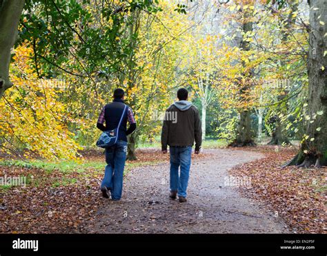 Two men walking through the park in autumn, Bute Park, Cardiff, South Stock Photo: 81810555 - Alamy