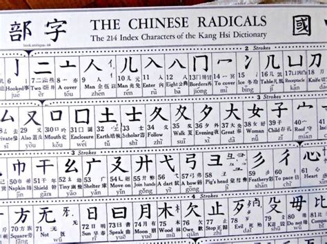 VINTAGE POSTER CHINESE RADICALS 214 INDEX CHARACTERS OF THE KANG HSI DICTIONARY | eBay