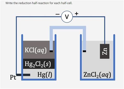 Solved Write the reduction half-reaction for each half-cell. | Chegg.com