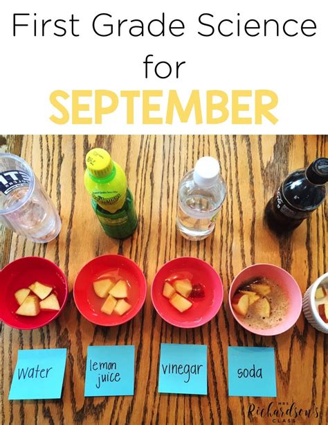 the first grade science for september includes apples, water, and ice cubes with labels to label ...