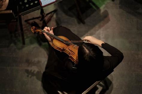 Violin Bow Techniques: Staccato, Spiccato, Sautillé, and Others ...