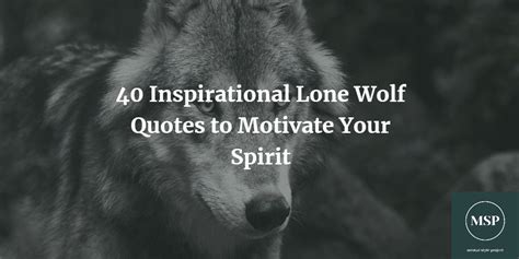 40 Inspirational Lone Wolf Quotes to Motivate Your Spirit - MSP