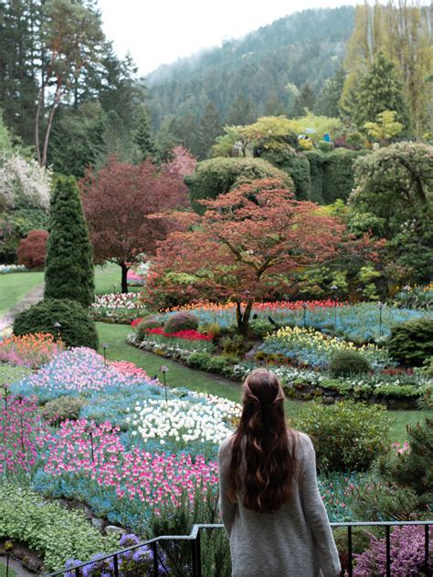 Butchart Gardens Canada Best Time To Visit - Bios Pics