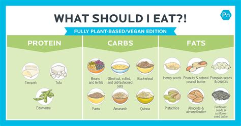 Vegan Protein Sources List