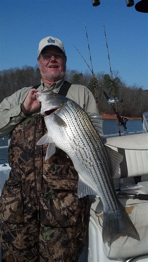 Pictures « Fishing Lake Hartwell | Fish Hartwell | Lake Hartwell ...