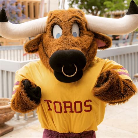 Teddy Toro | Mascot Hall of Fame