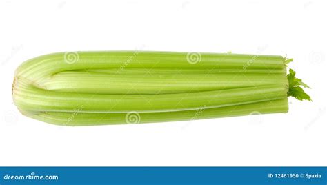 Celery stalks stock photo. Image of harvesting, celery - 12461950