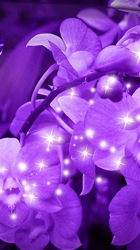 [100+] Purple Flower Backgrounds | Wallpapers.com