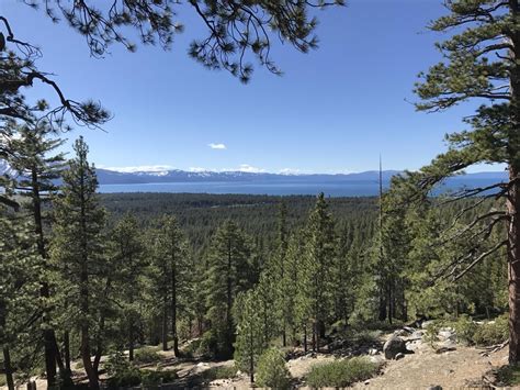 South Lake Tahoe / CA / USA / blazed my own trail : hiking