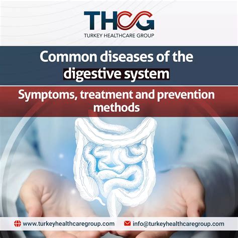 Comprehensive Guide to Digestive System Diseases 2024: Symptoms ...