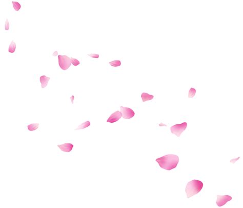 Free Falling Flower Petals 13666354 PNG With Transparent Background ...