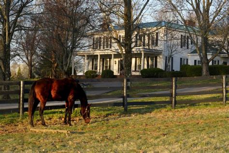 Horse Farm Tours Near Louisville - Oldham County KY Tourism