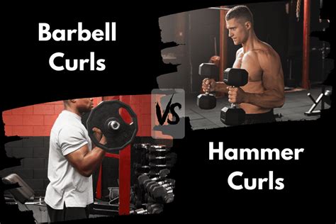 Barbell Curl vs Hammer Curl (Is One Better For Arm Day?) – Horton Barbell