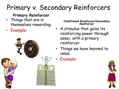 Primary Reinforcers Are Effective Because