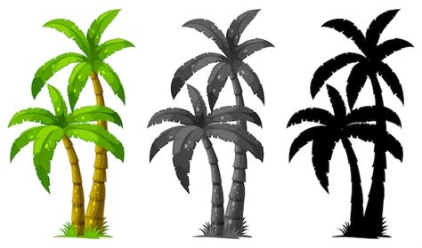 Palm Tree Images - Free Download on Freepik