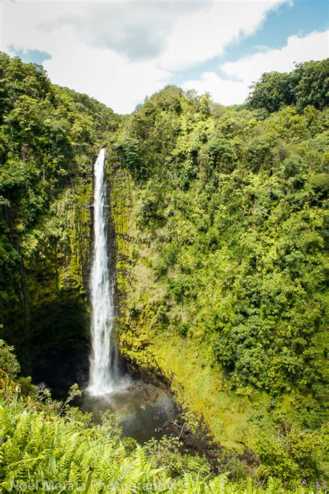 Akaka Falls On The Big Island Of Hawaii