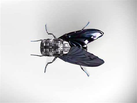 Robot Fly Photograph by Christian Darkin - Fine Art America