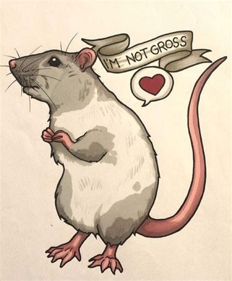 Pin by Lindsay Kelly on Animals | Cute rats, Rats, Sketches