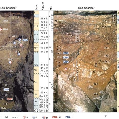 Location of Denisova Cave. | Download Scientific Diagram