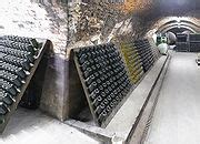 Category:Black wine cellar mold - Wikimedia Commons