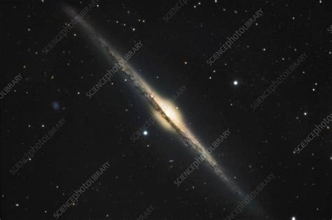 Edge-on galaxy NGC 4565 - Stock Image - R820/0428 - Science Photo Library