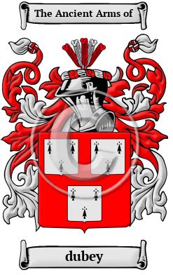 Dubey Name Meaning, Family History, Family Crest & Coats of Arms