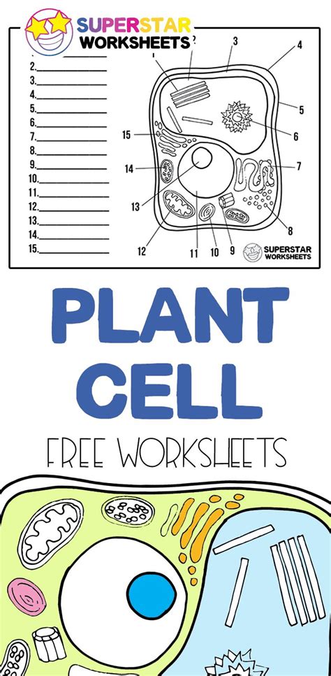 Plant Cell Worksheets. Free plant cell worksheets for students to ...