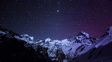 Beginner’s Guide to Stargazing: Pro Tips and Tricks – Naturalist's Guide