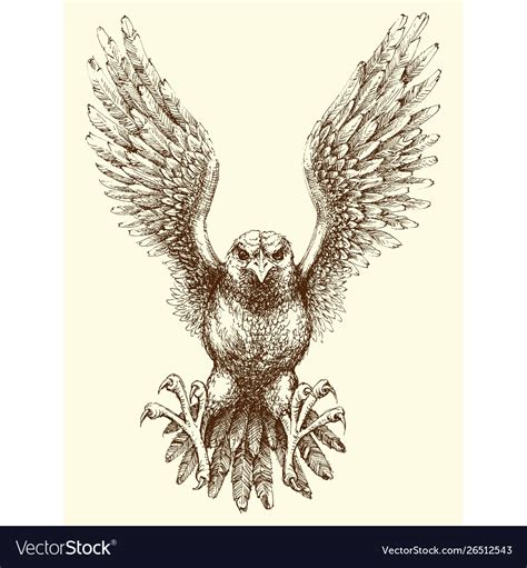 Flying eagle detailed hand drawing attack Vector Image