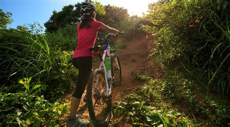 Haleakala Express Bike Tour - Haleakala Maui: Book Tours & Activities ...