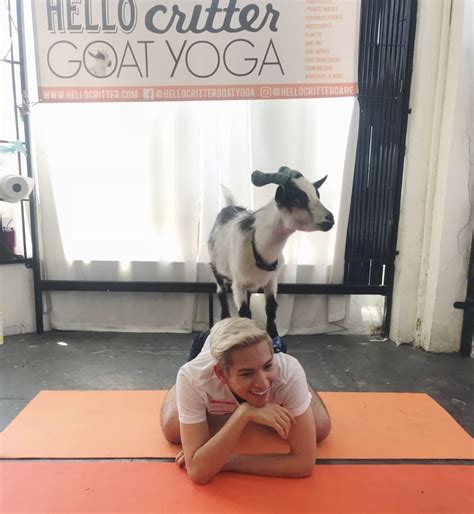 What Is Goat Yoga Like? | POPSUGAR Fitness