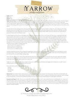 Magical and medicinal uses of Yarrow. Includes FREE BOS page! Magic Herbs, Herbal Magic, Witch ...