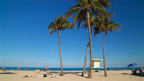 Hollywood Beach Vacation Rentals: house rentals & more | Vrbo