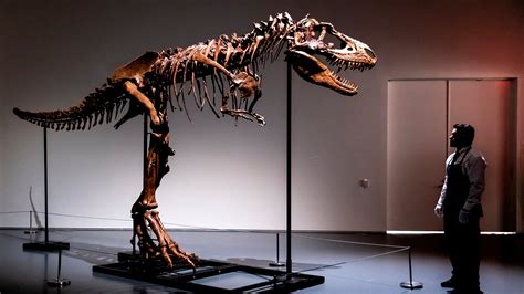 Skeleton of a Gorgosaurus Sells at Auction for $6.1 Million - The New ...