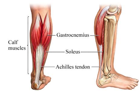 Calf Pain (Muscle) - Causes, Problems, Location, Treatment and Home Remedies