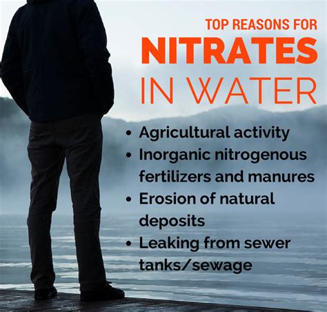 How do I Remove Nitrates from my Water?