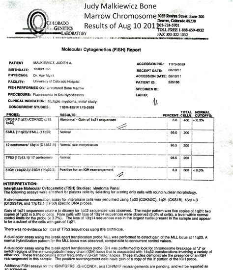 jm's Adventure with Multiple Myeloma: Bone Marrow Biopsy of August 10 2011 Results