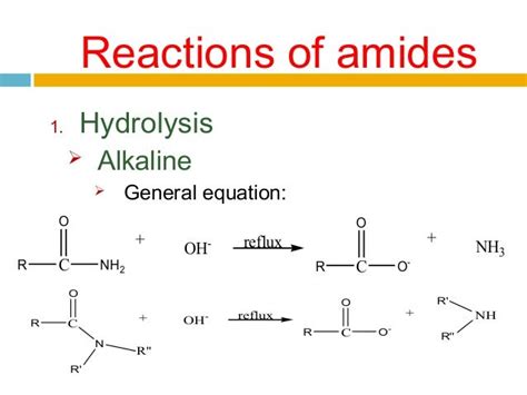 Chapter 8 amide