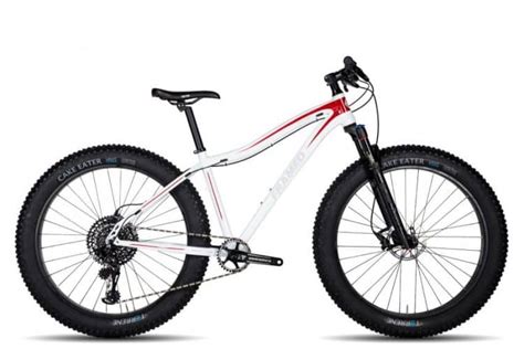 10 Best Fat Tire Bikes For the Money 2021 | Bike Smarts